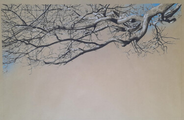 Dibujo titulada "Grandes Branches 2…" por Michèle Caranove, Obra de arte original, Tinta