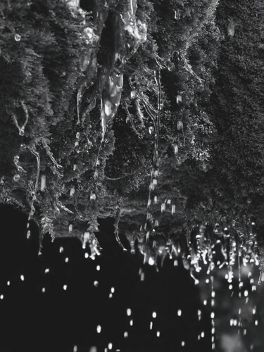 Estampas & grabados titulada "Lichenas Aqua" por Michèle Dumas (Michèle Frédérique), Obra de arte original, Grabado