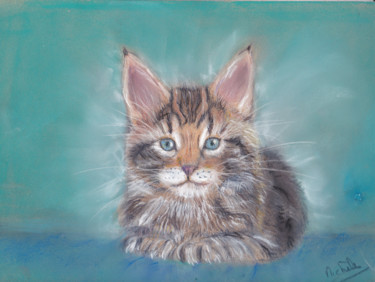 Drawing titled "Le chaton maine coon" by Michele G, Original Artwork, Pastel