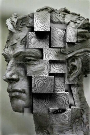 Artes digitais intitulada "Testa di legno" por Michele Loguercio, Obras de arte originais