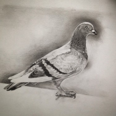 Dibujo titulada "Pigeon biset" por Michèle Rais, Obra de arte original, Grafito