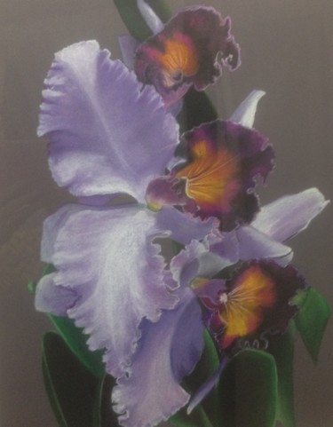 Рисунок под названием "Fleur aux pastels" - Lucie, Подлинное произведение искусства
