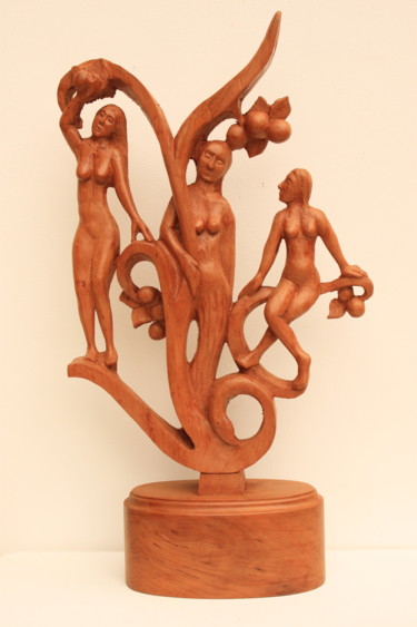 Sculpture titled "Le jardin des Hespé…" by Michel Ferre, Original Artwork, Wood