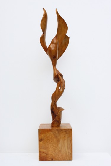Sculpture intitulée "Un air de liberté.j…" par Michel Ferre, Œuvre d'art originale, Bois