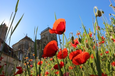 Photography titled "coquelicots.jpg" by G. Rem, Original Artwork