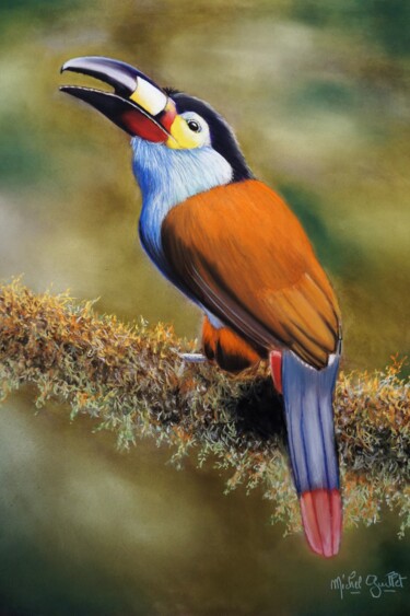 Dessin intitulée "Le petit toucan mon…" par Michel Guillet, Œuvre d'art originale, Pastel