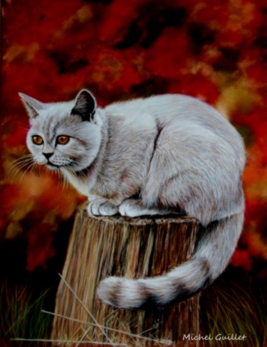 Belaud le petit chat gris Рисунок под названием "Belaud le petit cha…" - Michel Guillet, Подлинное произведение искусства, Пастель