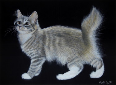 Le petit Américan bobtail... Dessin intitulée "Le petit Américan b…" par Michel Guillet, Œuvre d'art originale, Pastel
