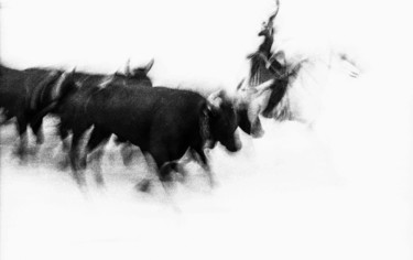 Photographie intitulée "Les Arenes "Taureau…" par Michel Guillet, Œuvre d'art originale, Photographie argentique