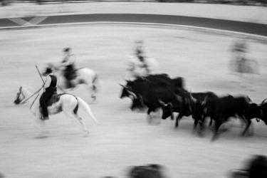 Photographie intitulée "Les arenes "Bandido"" par Michel Guillet, Œuvre d'art originale, Photographie numérique