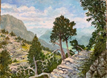 Peinture intitulée "Pyrénées" par Michel Kulisa, Œuvre d'art originale, Acrylique