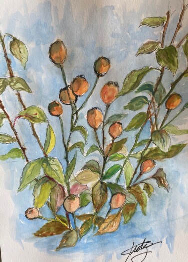Peinture intitulée "graines de rosier" par Michel Kulisa, Œuvre d'art originale, Aquarelle