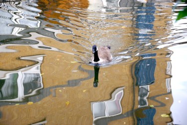 Fotografie getiteld "Duck" door Michelle Baharier, Origineel Kunstwerk, Digitale fotografie