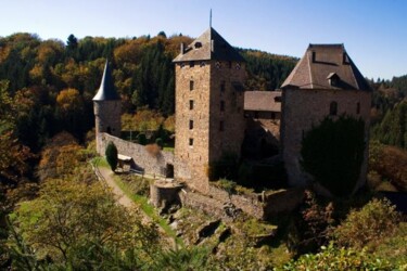 Photographie intitulée "Chateau de Reinhard…" par Michelle Jaegers-Delagrange, Œuvre d'art originale