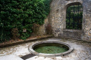 Photographie intitulée "La Fontaine Mathilde" par Michelle Jaegers-Delagrange, Œuvre d'art originale