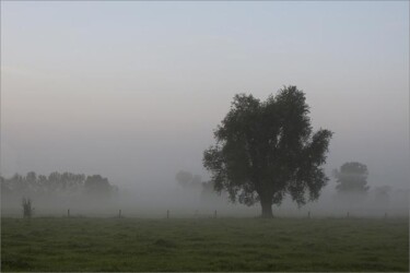 Photographie intitulée "Brume matinale" par Michelle Jaegers-Delagrange, Œuvre d'art originale