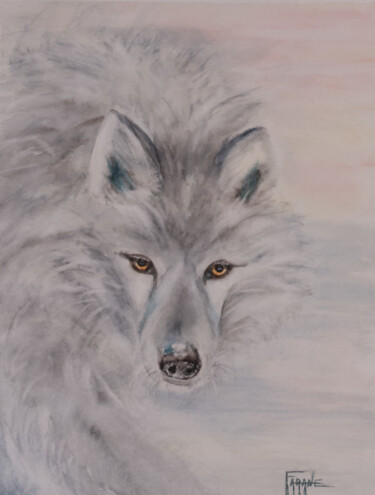 Painting titled "Loup blanc arctique…" by Michelle Thébault (Farane), Original Artwork, Watercolor