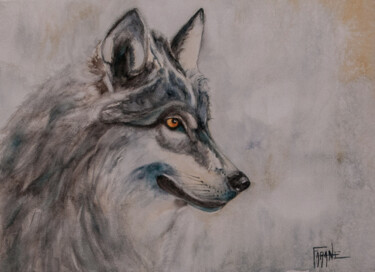 Peinture intitulée "loup gris" par Michelle Thébault (Farane), Œuvre d'art originale, Aquarelle
