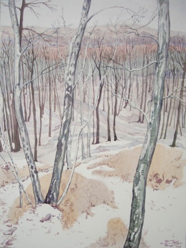 Peinture intitulée "Janvier en Forêt" par Michel Munier, Œuvre d'art originale, Aquarelle