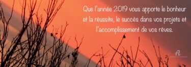 Photography titled "Bonne Année 2019 !" by Michel Louise, Original Artwork