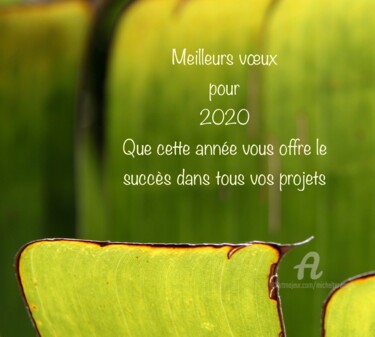 Photography titled "Bonne Année 2020" by Michel Louise, Original Artwork, Digital Photography