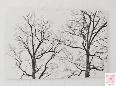 Fotografía titulada "Paroles d'arbres" por Michel Verna, Obra de arte original, Fotografía digital