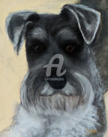 Tekening getiteld "Jules" door Middo, Origineel Kunstwerk, Pastel