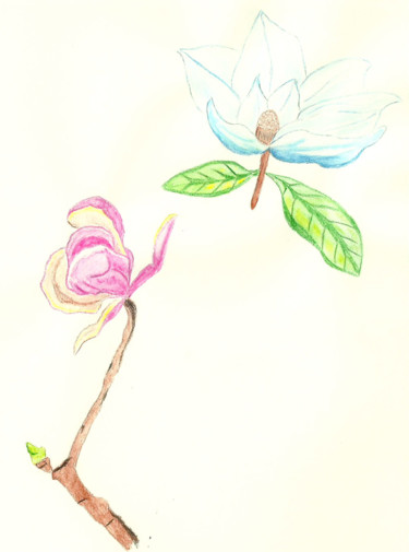 Painting titled "magnolia" by Miel, Original Artwork, Watercolor