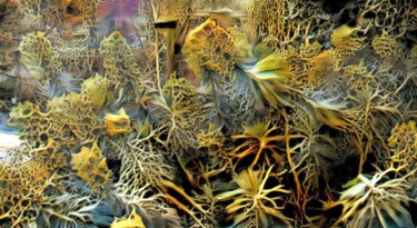 Digitale Kunst getiteld "Fantasy Flowering" door Mies De Graaf, Origineel Kunstwerk, Foto Montage