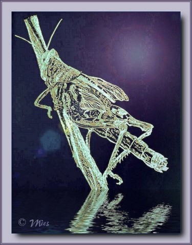 Digitale Kunst mit dem Titel "Grasshopper by night" von Mies De Graaf, Original-Kunstwerk, 2D digitale Arbeit