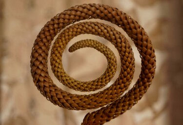 Fotografia intitulada "Natural spiral" por Miguel Marques, Obras de arte originais, Fotografia digital