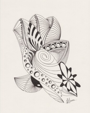 Drawing titled "Shells" by Miguel Marques, Original Artwork, Ink