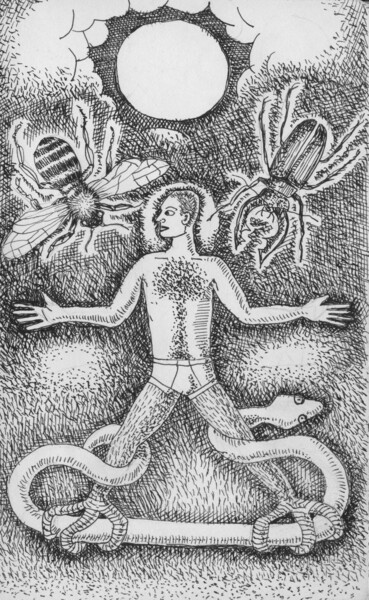 Drawing titled "Ophiuchus" by Miguel Rojas, Original Artwork, Ink