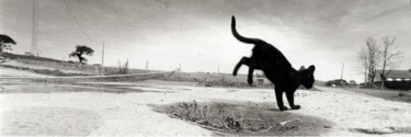 Bisig Photographie intitulée "Bisig" par Mikaël Helleux, Œuvre d'art originale, Photographie argentique