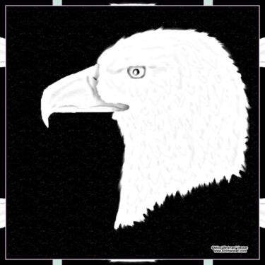 Картина под названием "Black & White Eagle" - Mike Sexton, Подлинное произведение искусства, Масло