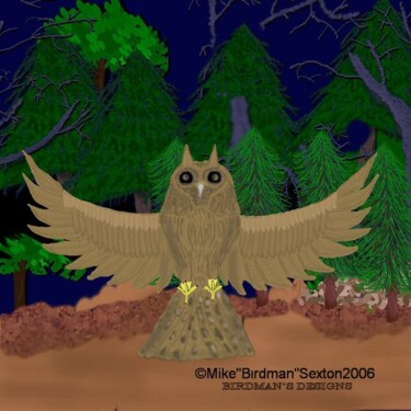 Schilderij getiteld "Night Owl" door Mike Sexton, Origineel Kunstwerk, Olie