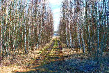Digital Arts titled "Road in a birch gro…" by Mikhail Deshuk, Original Artwork, Digital Painting
