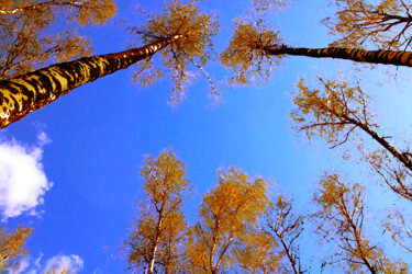 Arts numériques intitulée "birch crowns" par Mikhail Deshuk, Œuvre d'art originale, Peinture numérique