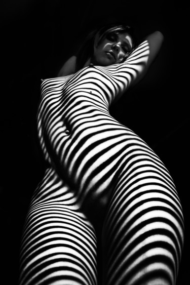 Photography titled "zebra" by Mikhail Faletkin, Original Artwork, Digital Photography