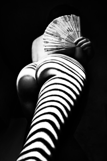 Photographie intitulée "Zebra With A Fan" par Mikhail Faletkin, Œuvre d'art originale, Photographie numérique