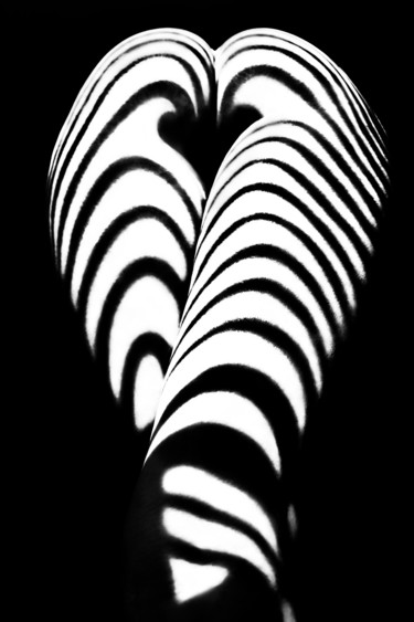 Fotografia intitolato "zebra ass 2" da Mikhail Faletkin, Opera d'arte originale, Fotografia digitale