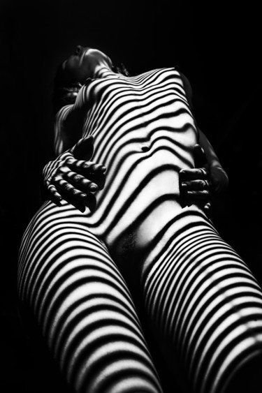 Fotografie mit dem Titel "zebra 2" von Mikhail Faletkin, Original-Kunstwerk, Digitale Fotografie