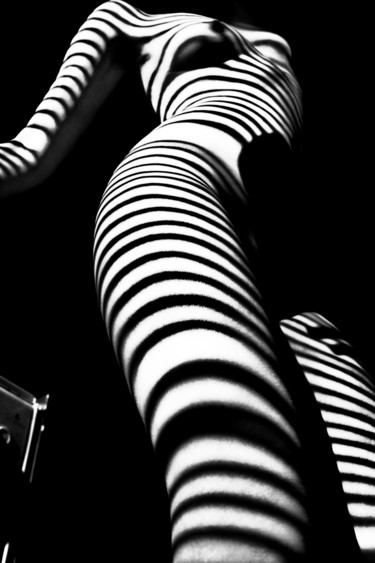 Photography titled "Surreal zebra" by Mikhail Faletkin, Original Artwork, Digital Photography