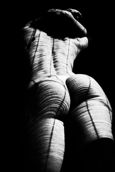 Photographie intitulée "hyper zebra" par Mikhail Faletkin, Œuvre d'art originale, Photographie numérique