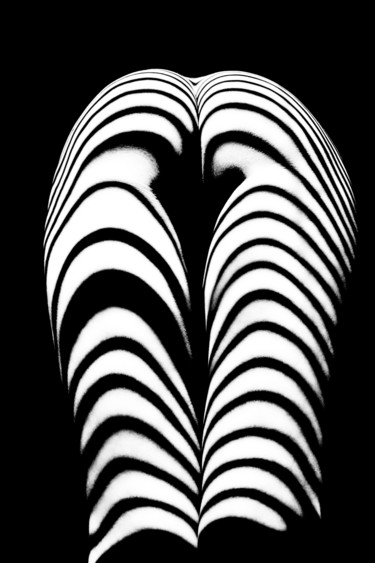 Photographie intitulée "Zebra ass" par Mikhail Faletkin, Œuvre d'art originale, Photographie numérique