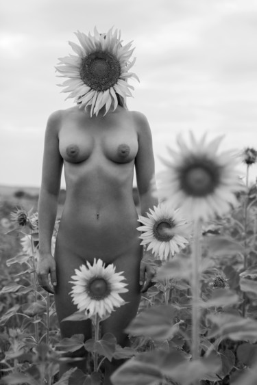 Fotografia intitolato "sunflowers" da Mikhail Faletkin, Opera d'arte originale, Fotografia digitale