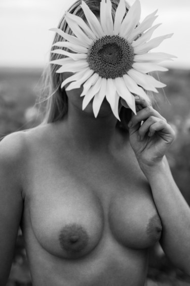Фотография под названием "sunflowers 3" - Mikhail Faletkin, Подлинное произведение искусства, Цифровая фотография