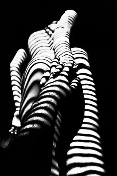 Photography titled "my zebra" by Mikhail Faletkin, Original Artwork, Digital Photography