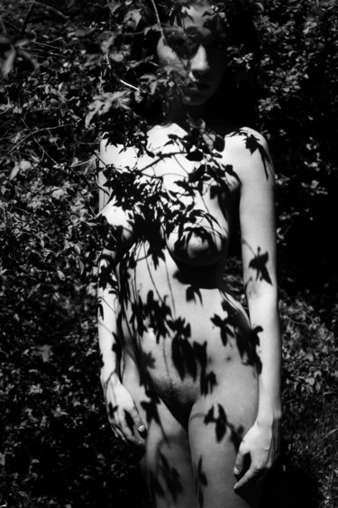 Фотография под названием "Forest shadows" - Mikhail Faletkin, Подлинное произведение искусства, Цифровая фотография