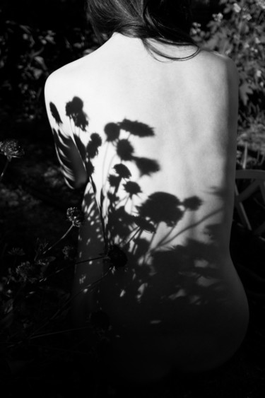Photographie intitulée "Flowers" par Mikhail Faletkin, Œuvre d'art originale, Photographie numérique